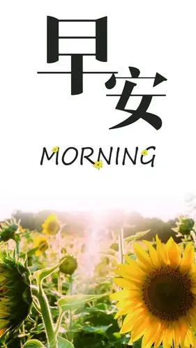 小清新唯美向日葵早安