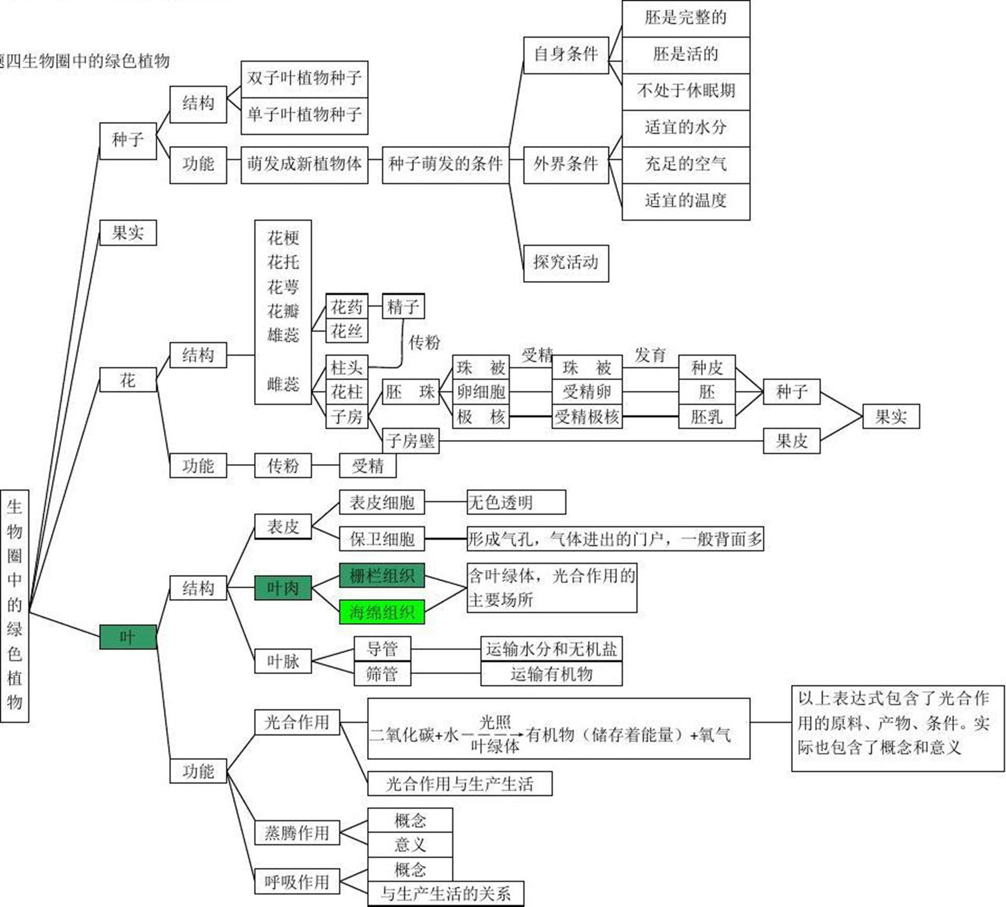 初中生物专题思维导图20张完整版通儒公考圈精制免费共享