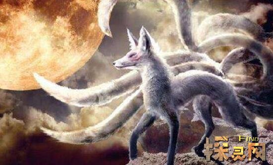 传说九尾狐要依靠长久的修行才能变成人,这是否就说明了九尾狐真实