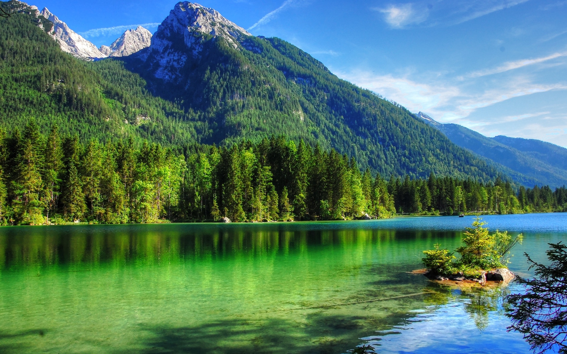 绿意盎然的森林高清桌面壁纸高清大图预览1920x1200_风景壁纸下载_美