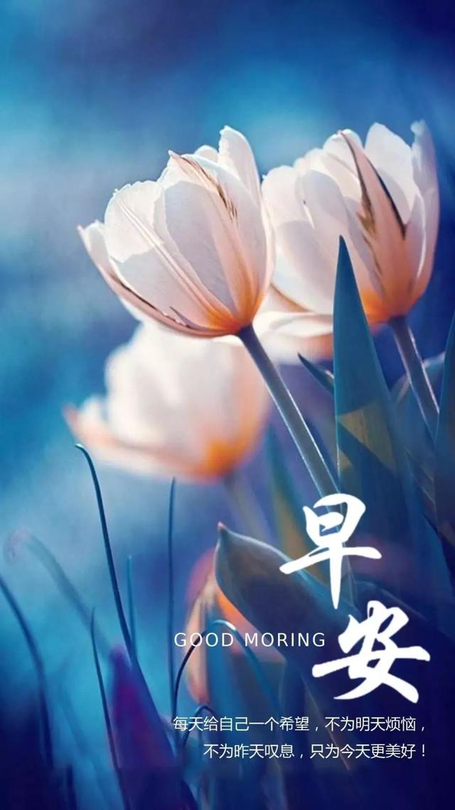 早上问候新的一天新的太阳新的空气新的问候早安