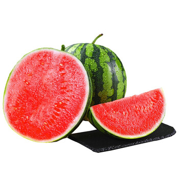 早春红玉西瓜 新鲜西瓜 红瓤西瓜 4-5斤装