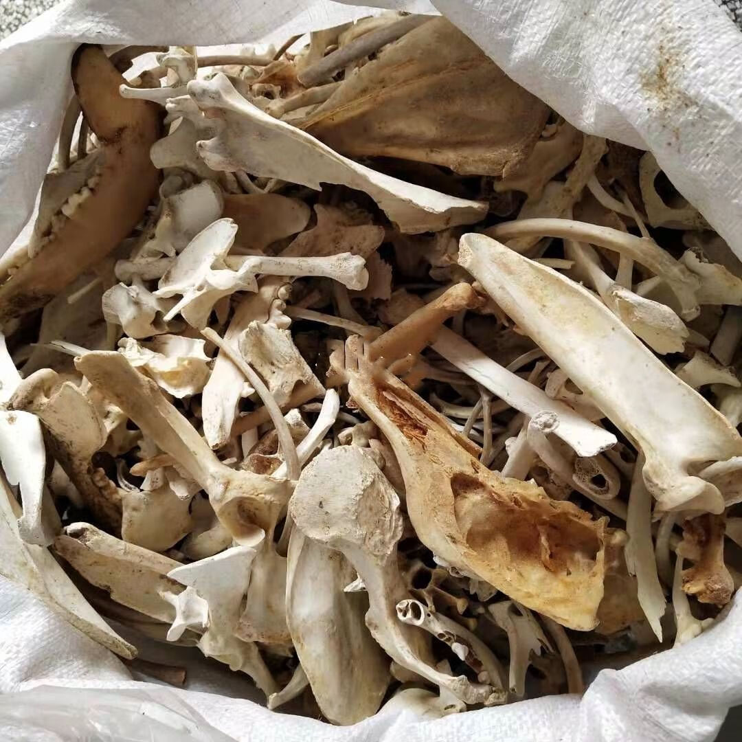 正宗 煅狗骨头 炙骨狗退骨 500克 250 生狗骨头粉【图片 价格 品牌