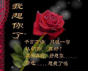 洋洋:亲爱的我想你了