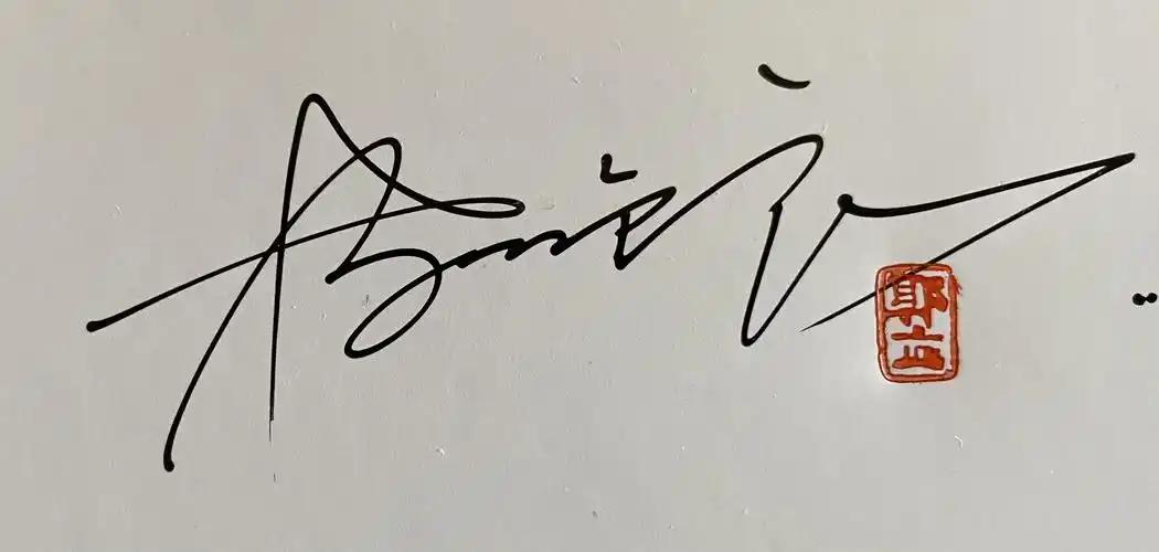 其它 超值的名家签名设计 写美篇设计姓名:杨强良. 风格:自然流畅