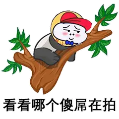 抖音超火的猫咪摇头表情包