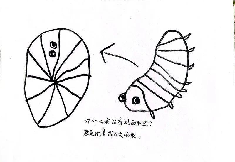 看见儿童——张家港市幼儿园联盟共建课程行动纪实(第八期)_活动_游戏