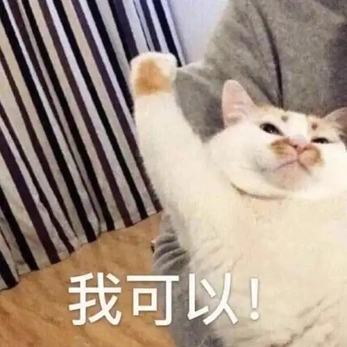 猫狗表情图我的收藏合集