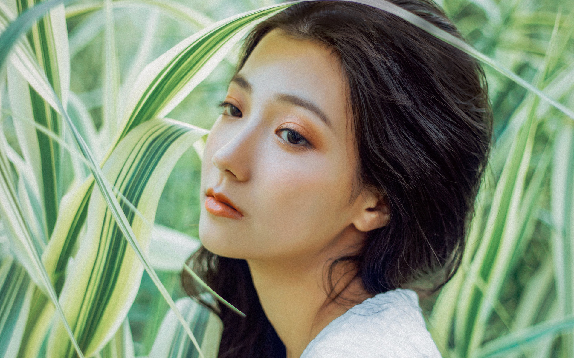 清纯气质美女养眼高清桌面壁纸