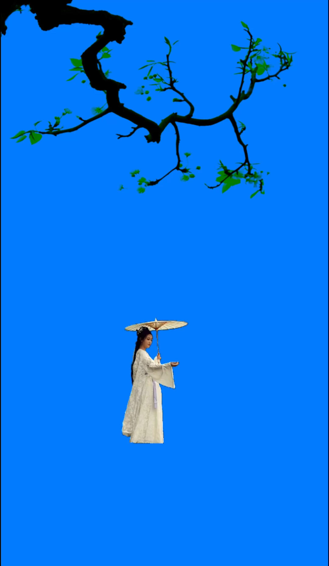 古风素材  #古装美女 #素材分享