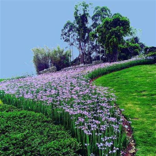 28张微信风景头像,有花有草有风景,太好看了_相关_标题_整理