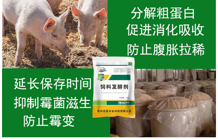 使用豫启富饲料发酵剂发酵花生饼喂猪的方法:(1)准备材料:1袋饲料发酵