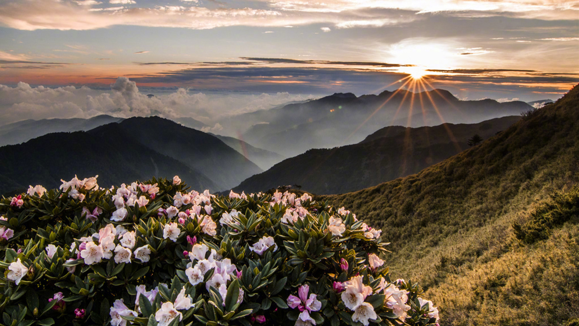 唯美的秋天美景图片桌面壁纸-风景壁纸-手机壁纸下载-美桌网
