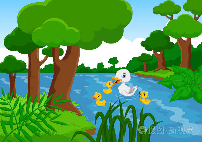 鸭子妈妈和她的三只可爱的小鸭子在湖里游泳.