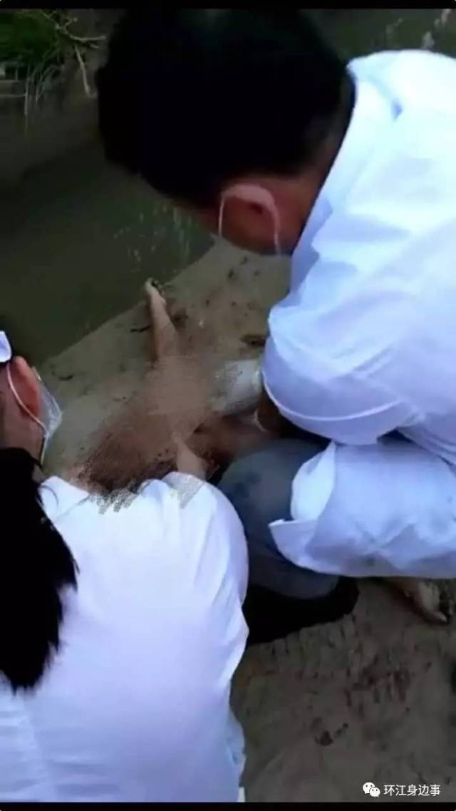 随后有群众报警,医务人员赶到现场后立即对男童实施抢救,不过遗憾的是