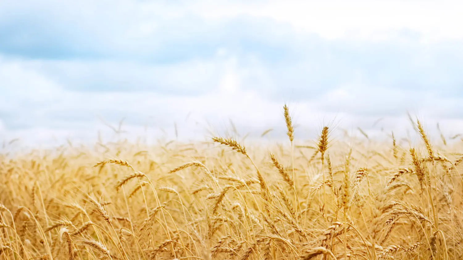 终身成长透过成长型思维来看两性关系