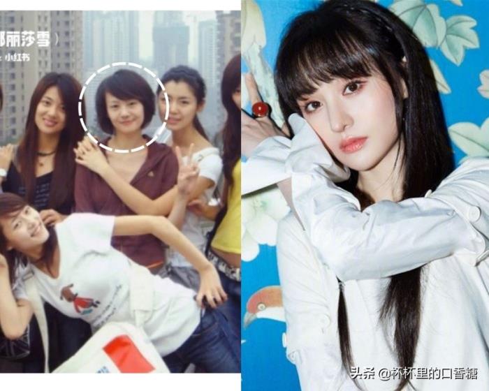 明星出道前对比3:郑爽