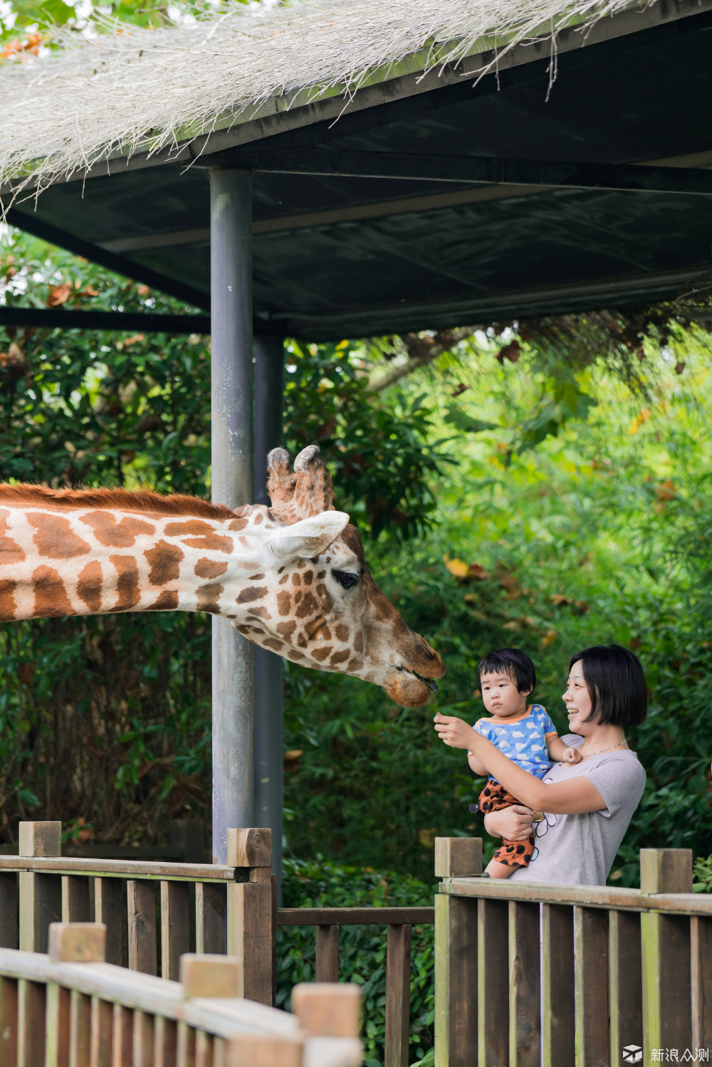 九块钱门票玩一天的动物园,超喜欢这一张的