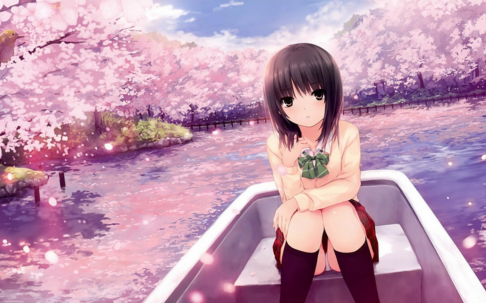 清纯萝莉动漫美女高清图片桌面壁纸