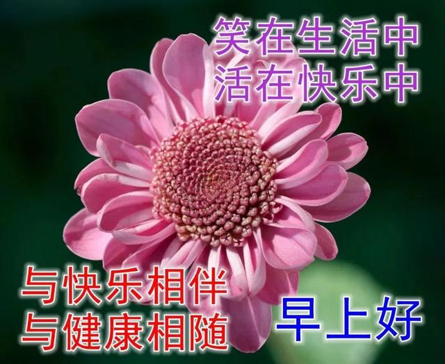 早上好动态祝福:祝你早安每一天,快乐珍藏在心间!