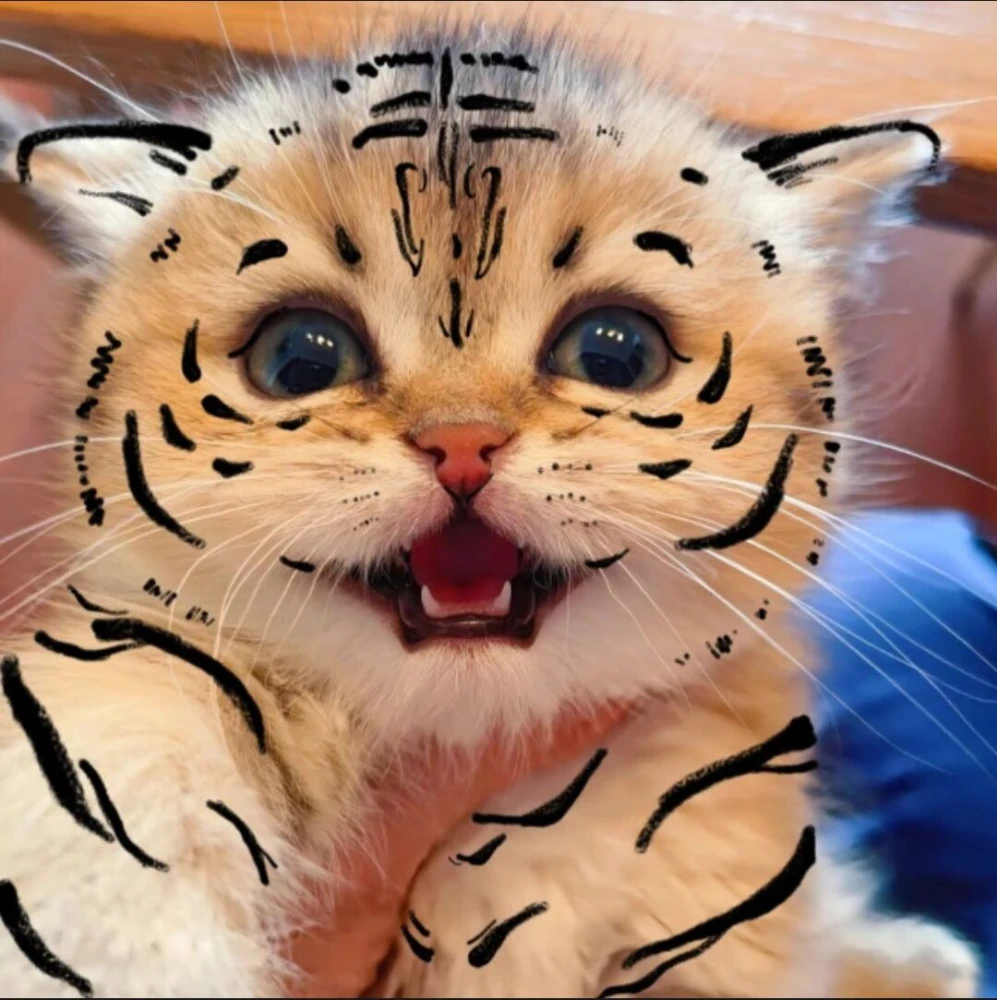 奶凶猫咪头像|我超凶哒,嗷呜_腾讯新闻