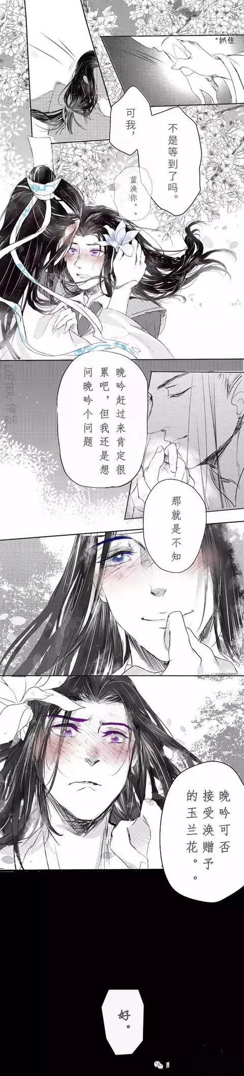 魔道祖师曦澄赠君一支玉兰花倾君无悔永相随