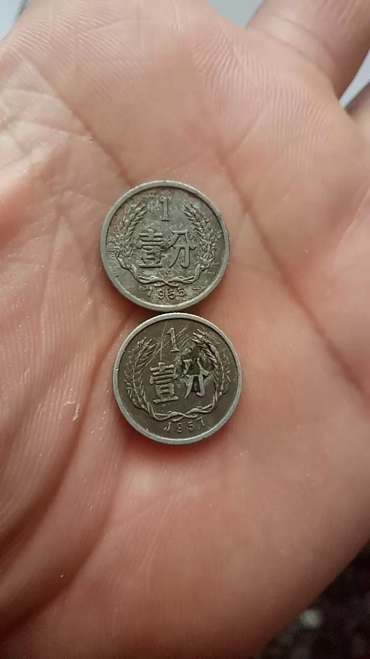 一分两分最值钱的硬币你家里还有吗?
