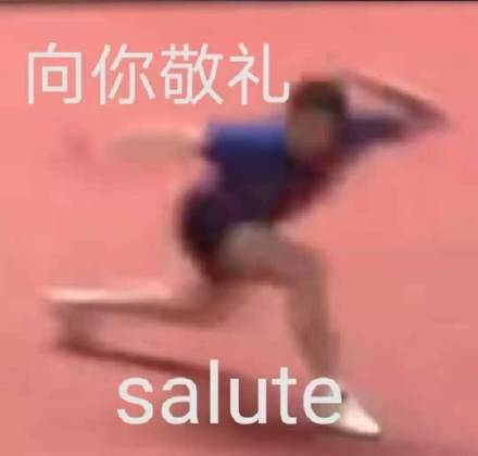 向你敬礼salute_敬礼_salute表情