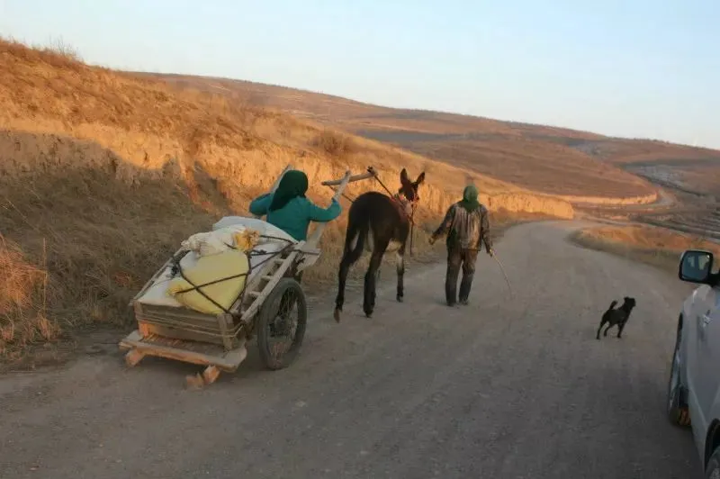 越看越亲切的农村老照片你见过几张上