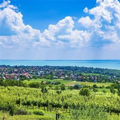 让人一看就舒心的微信风景头像 超好看的唯美景色高清头像图片 - 腾讯