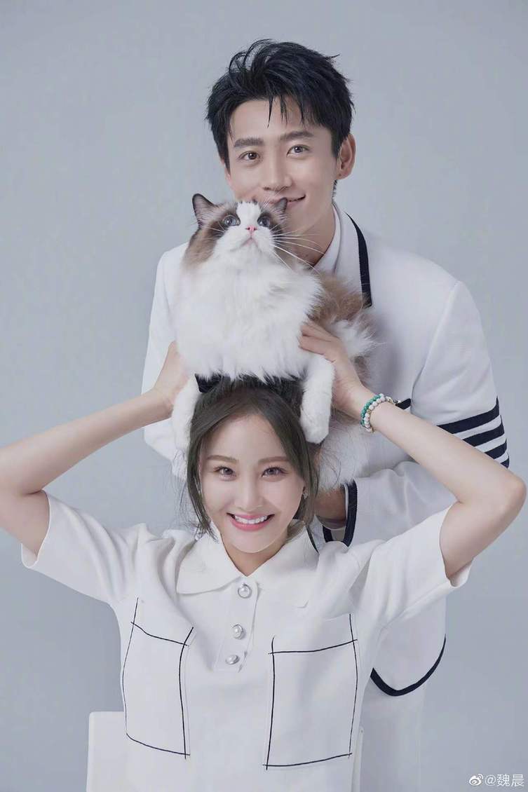 魏晨与素人女友将举办婚礼苦恋13年终成眷属