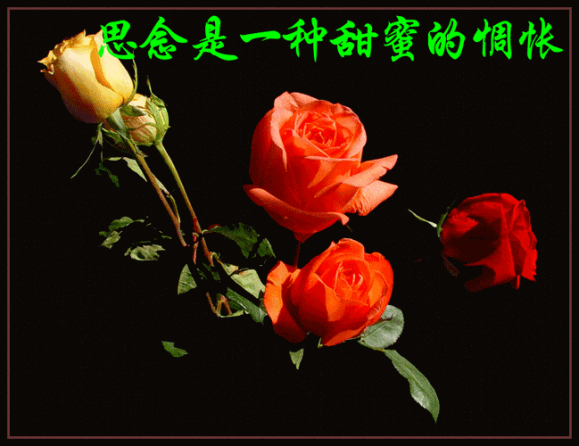 思念着远方的你-------我的心上人