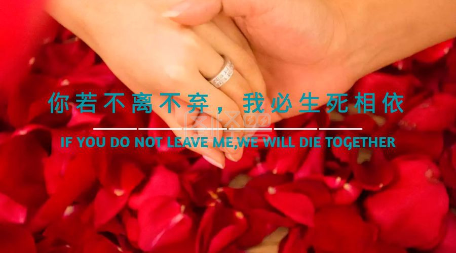 你若不离不弃我必生死相依
