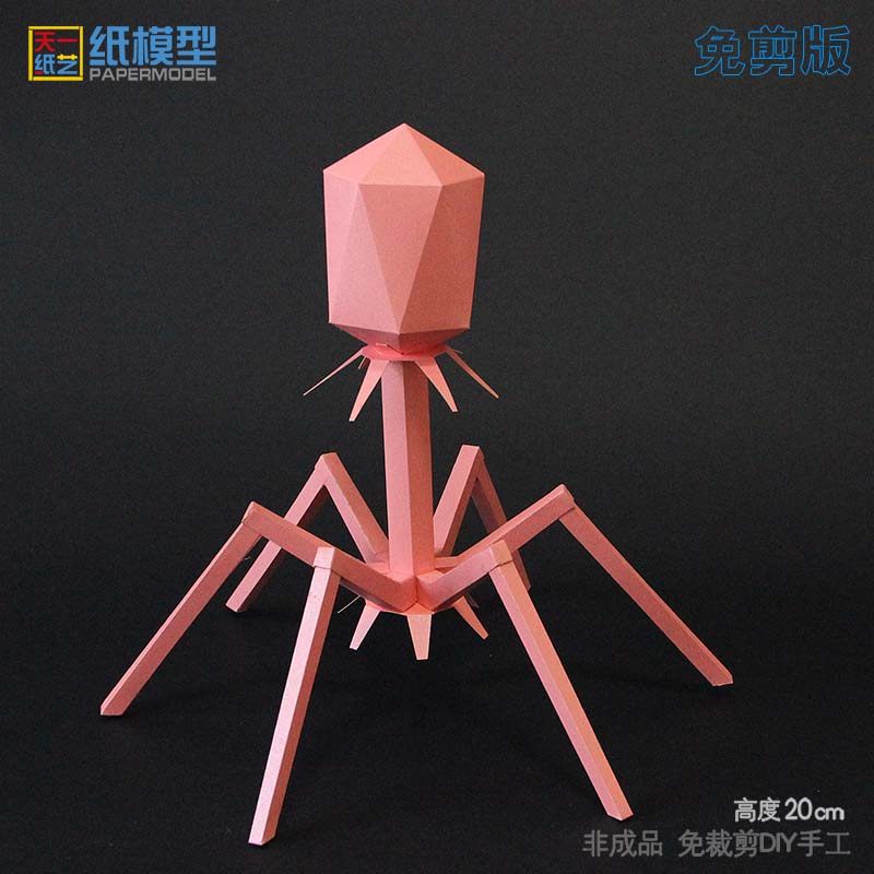 噬菌体纸模型手工diy立体形人体细胞科技小制作生物展示教具折纸