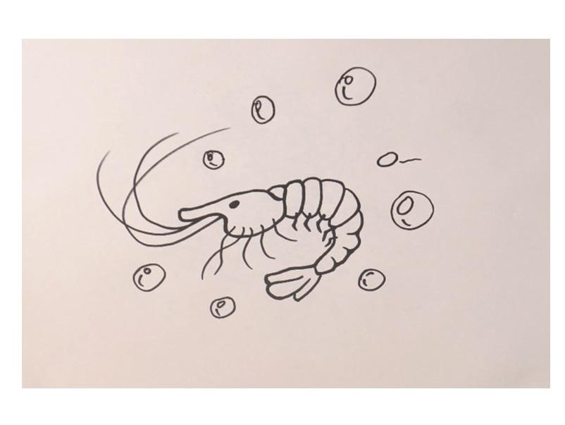 「手工」简笔画萝虾米 简单学会