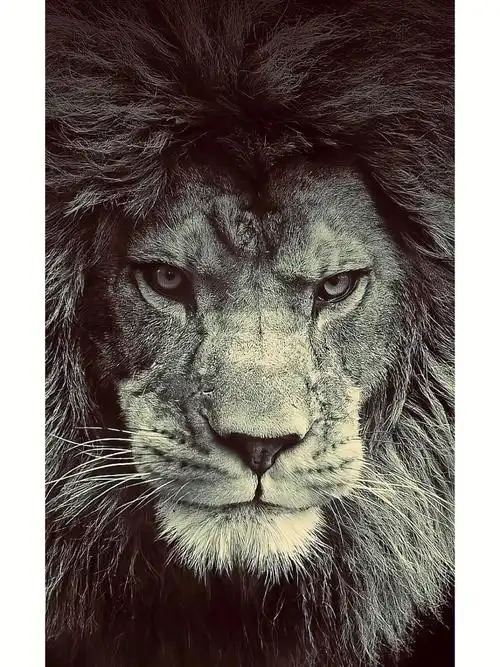 具有压迫感的壁纸