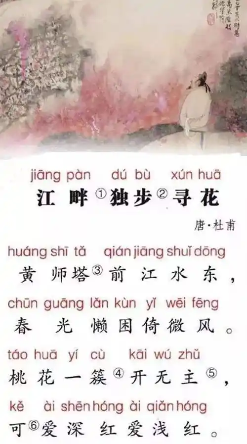 2,江畔独步寻花其一是是唐代大诗人杜甫的作品全诗的字面意思我被江边