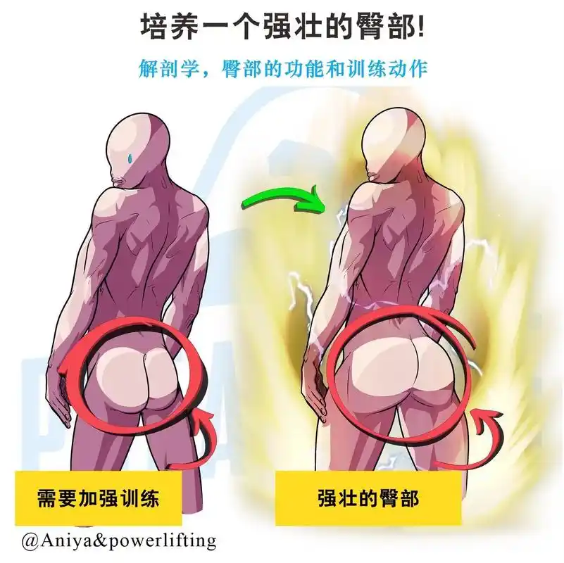 臀部肌肉 "通常称为臀部,分为3 - 抖音