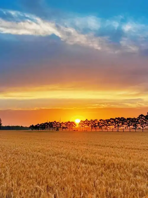优美好句_四年级夸张句大全优美_描写秋天的优美句子,美词美句