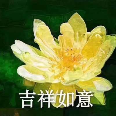 江淮佛系荷花微信头像岁月静好