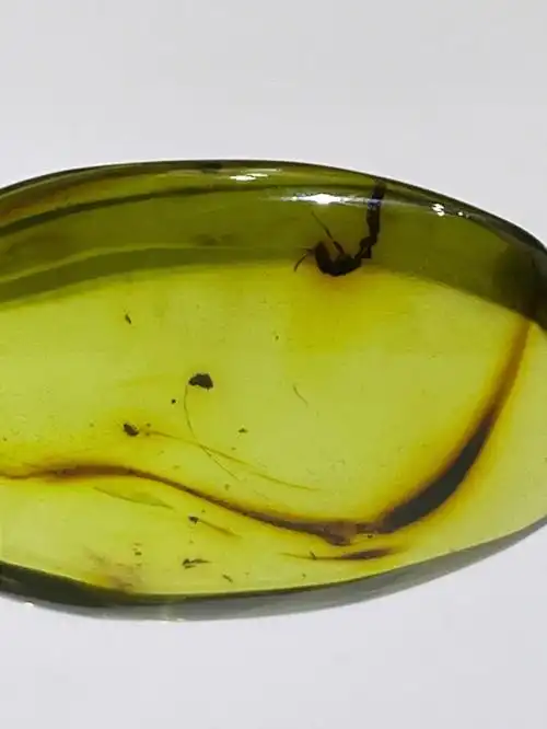 绿珀虫珀足丝蚁吊坠