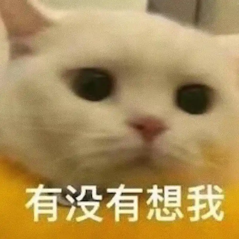你老实告诉我,有没有想我!#表情包 #趣味表情包 #猫咪表情 - 抖音
