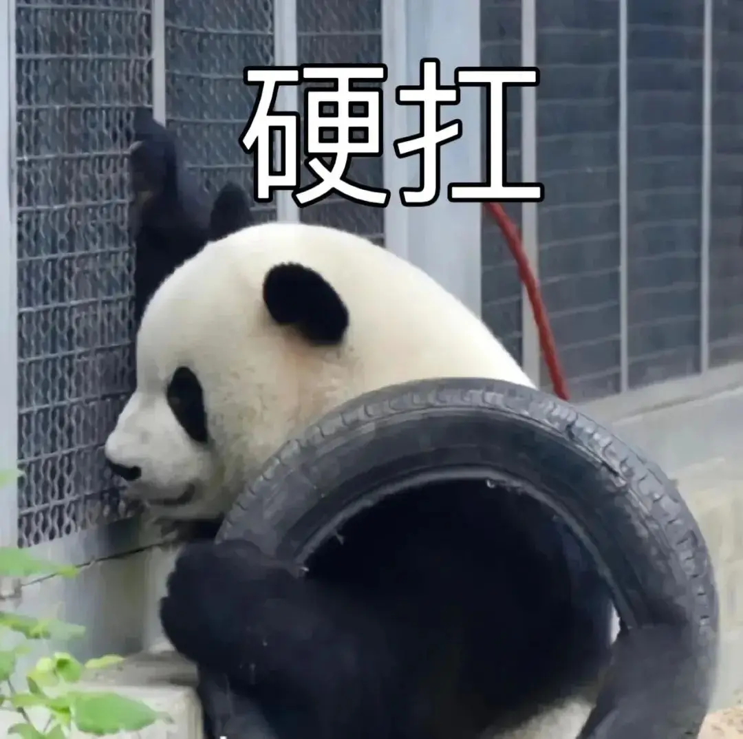 超搞笑沙雕的表情包