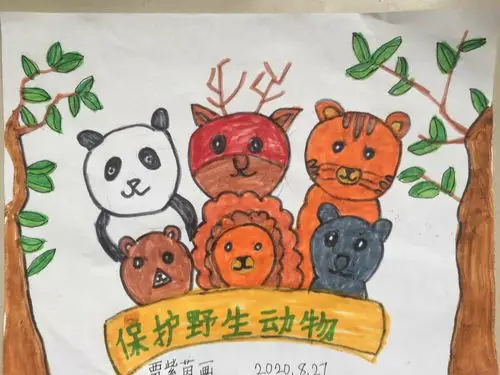 金蜗牛绘画空中课堂——保护野生动物