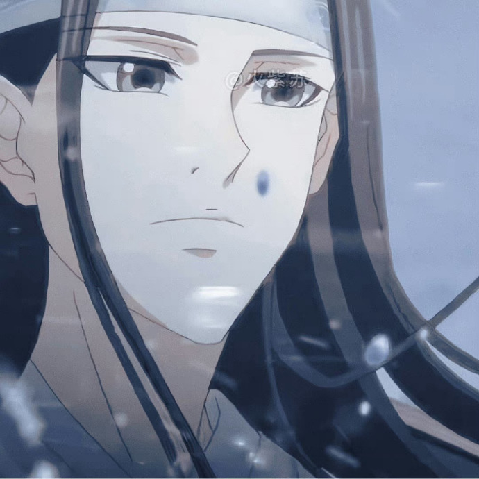 魔道祖师动画##蓝忘机