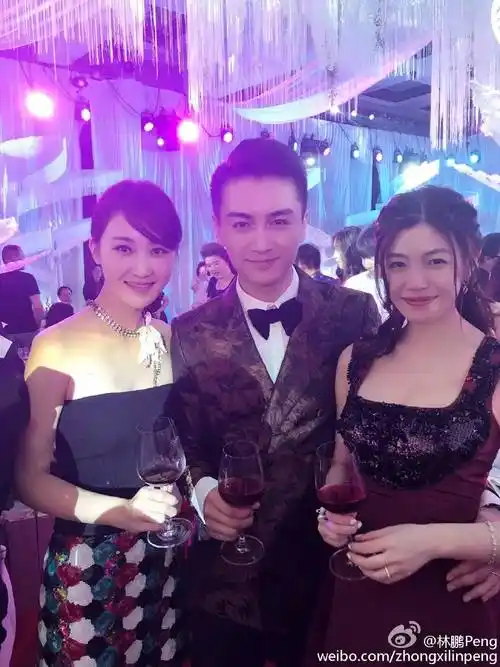 找到了林鹏05届中戏合照原来跟陈晓张佳宁都是同学