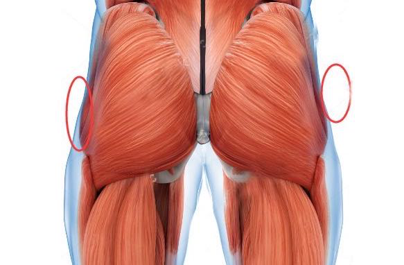 想要翘臀?看这里:4个动作锻炼臀中肌与臀大肌,练出完美臀形