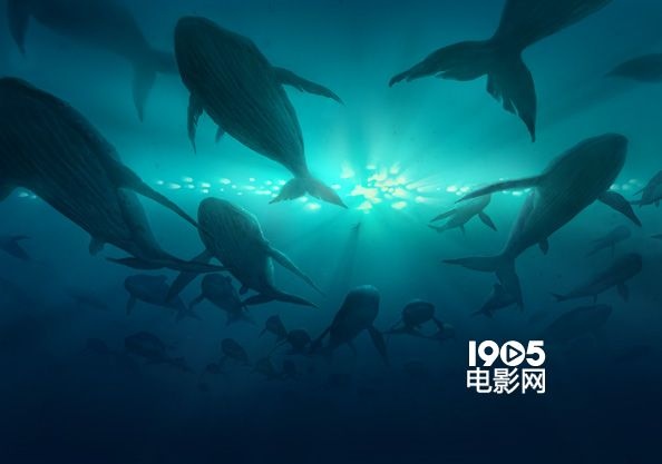 《大鱼海棠》曝人物版终极海报 椿湫鲲命运未卜_华语_电影网_1905.com