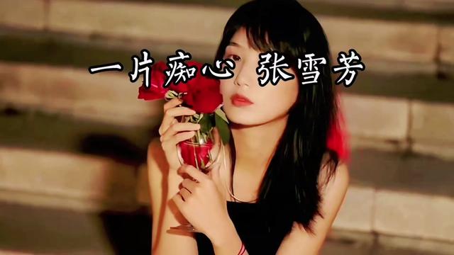闽南语歌曲大全 #闽南语歌曲 #闽南歌曲 #闽南歌 #一片痴心