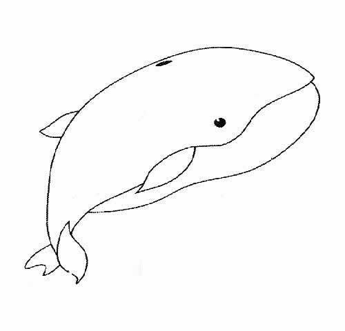 幼儿卡通鲸鱼简笔画图片大全